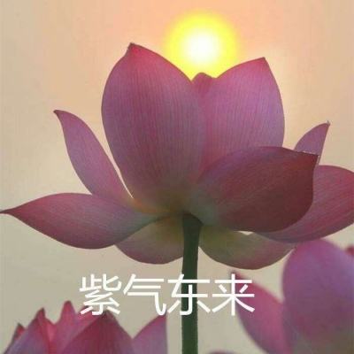 宝宝画画涂色游戏下载